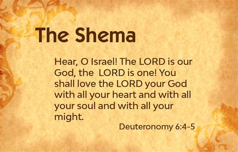 www shemal com|About Shema .